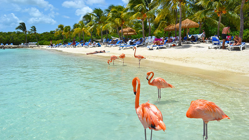 Happy Island, Aruba