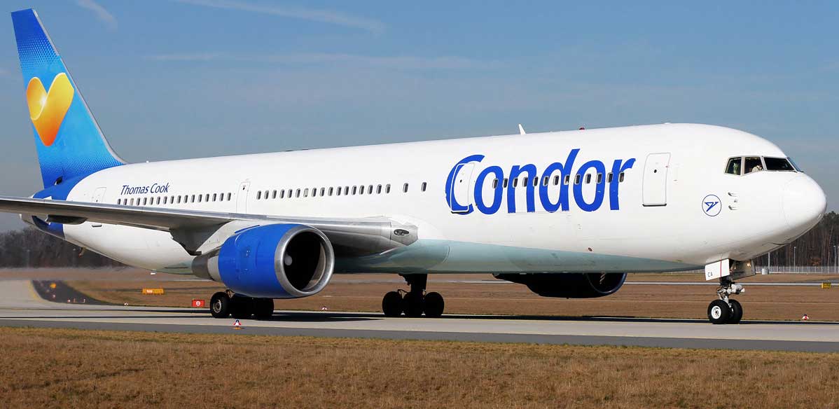 condor