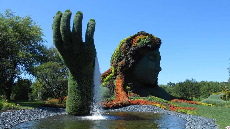 Botanischer-Garten