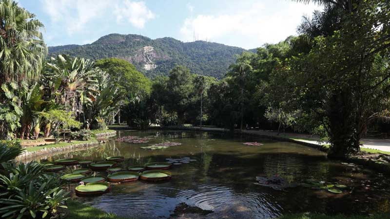 Botanischer-Garten