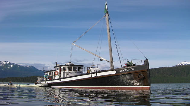 „David B“: Rustikale Alaska-Expeditionen