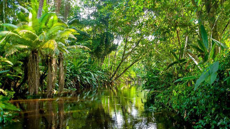7 Orte, die Sie besuchen sollten, bevor sie verschwinden