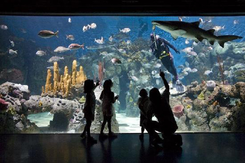 Das Größte Aquariums in Südamerika