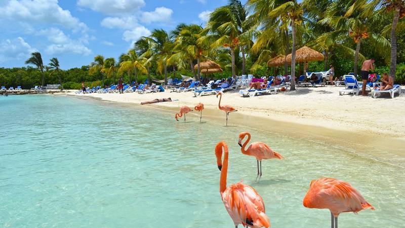 Aruba: Neues Projekt bereits für 2018