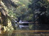 Tortuguero, Costa Rica Die Nationalparks von Costa Rica trugen im Jahr 2009 4,5% zum BIP bei