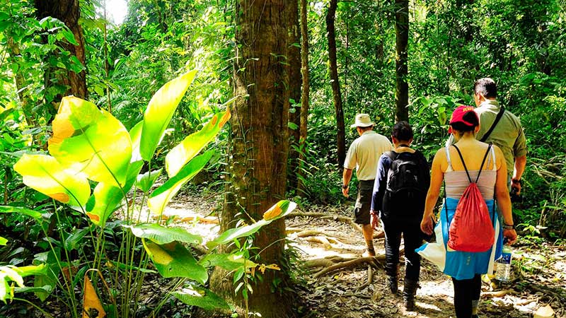 „El Camino de Costa Rica“, ein neues Projekt für Ferien auf dem Bauernhof von Küste zu Küste