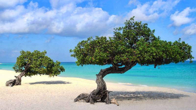 Brasilien und Aruba und ihre Traumstränd