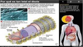 Kubanischen Gesundheitsministerium ergreift Maßnahmen zur Verhinderung des  Eintritts von Ebola