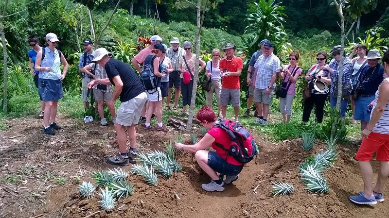 Natur und Touristik, Entwicklungsbinom in Costa Rica
