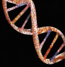 Forscher diskutieren Herausforderungen der medizinischen Genetik 