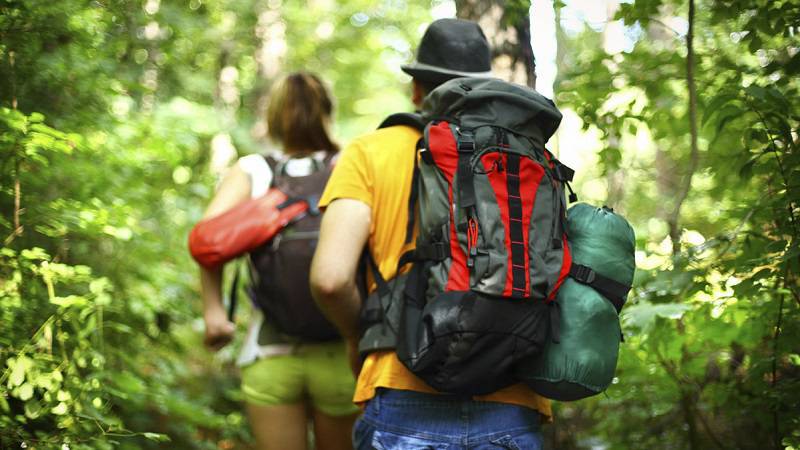 5 Sachen, die Sie machen können, um eine ökologische Ferien zu genießen