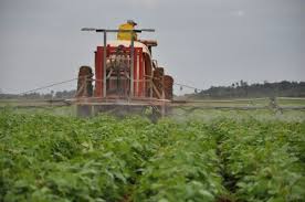 Santiago de Cuba: Ausländische Zusammenarbeit stärkt landwirtschaftliche Nahrungsketten